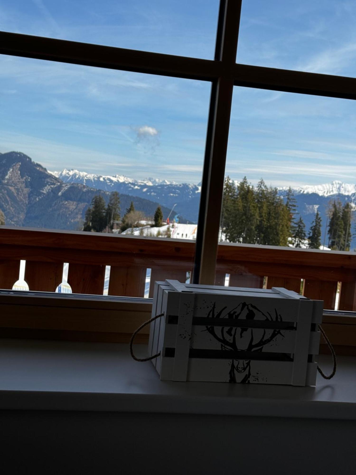 Glockneralm - Exklusiv Erreichbar Mit Skilift Zell am See Extérieur photo