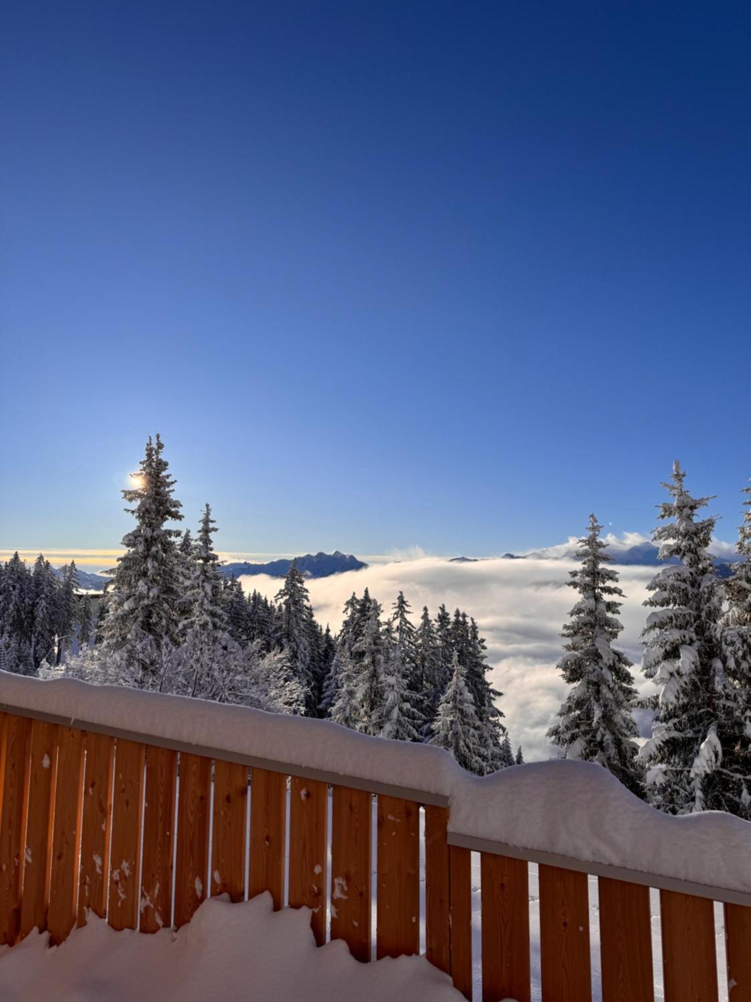 Glockneralm - Exklusiv Erreichbar Mit Skilift Zell am See Extérieur photo